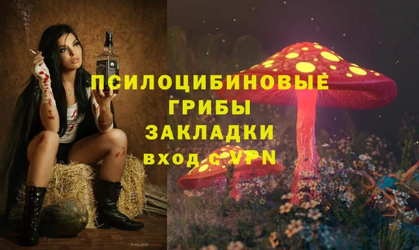 гашик Медногорск