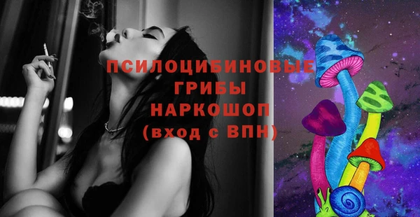 гашик Медногорск