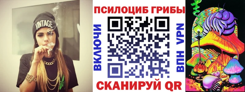 магазин продажи наркотиков  Фокино  Псилоцибиновые грибы Magic Shrooms 
